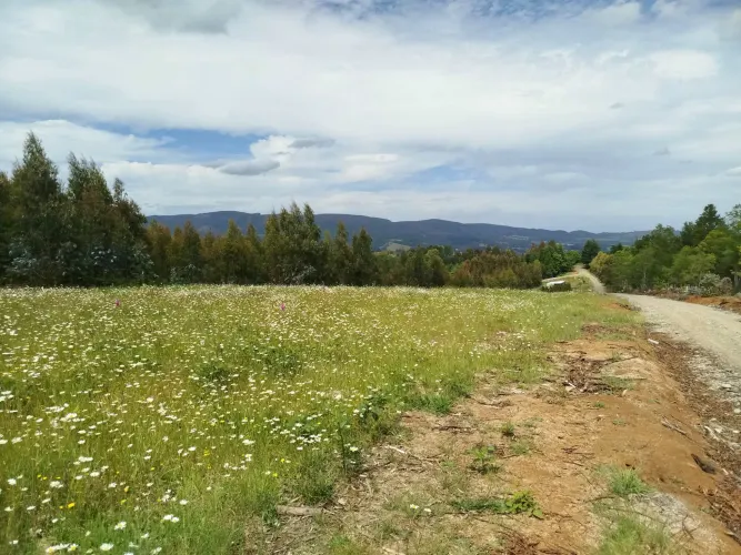 Lots 1 to 1.45 hectares 14.5 km from La Unión, from $19,627 USD