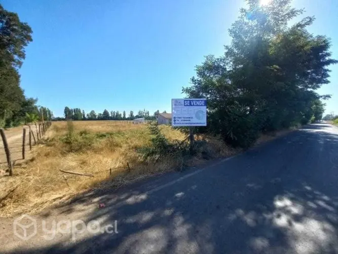 Agricultural Lots Near Ranco Lake