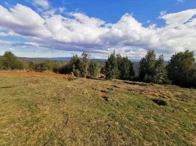 Complete Development with 8 Agricultural Lots in Cufeo Sector