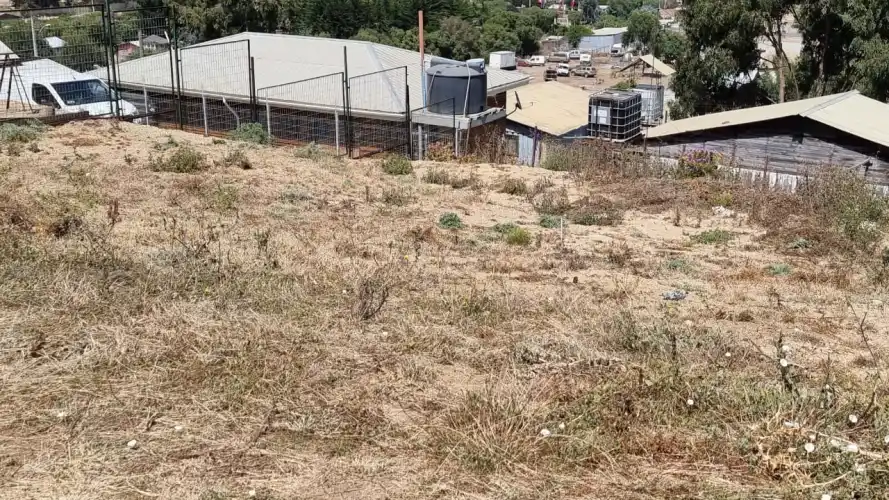 Loteo Campo Lindo, El Tabo, Frente a Laguna El Peral