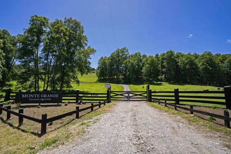 Monte Grande, Agricultural Plots, Panguipulli