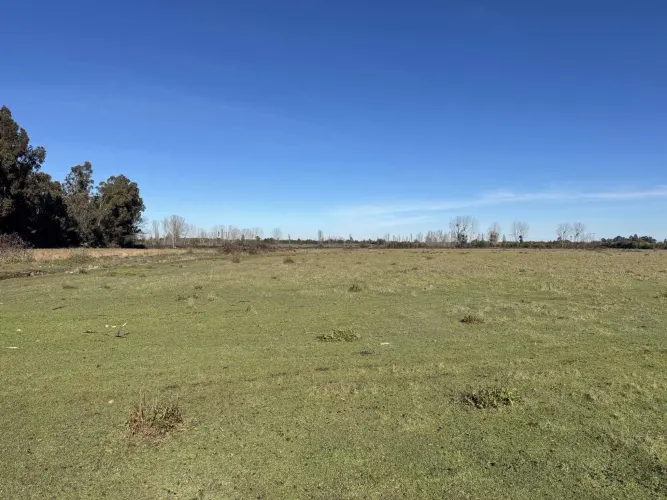 Farm agrícola 78 hectares comuna of Coihueco, Chillán