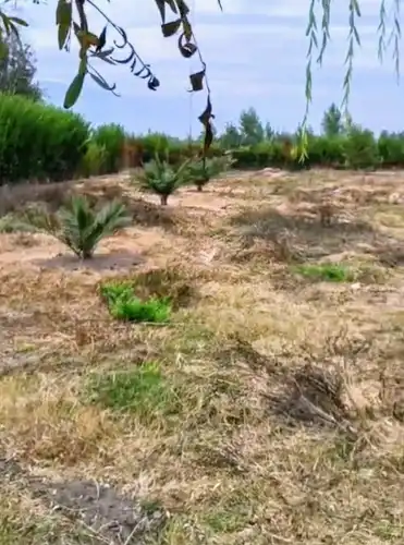 Excelente terreno 3600 m2 VI Región (111615)