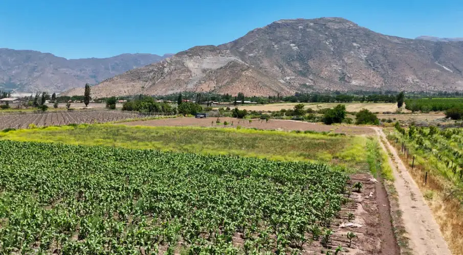 2 Minutes from Salesian Agricultural School / 5,400 m² with Water and Electricity Feasibility
